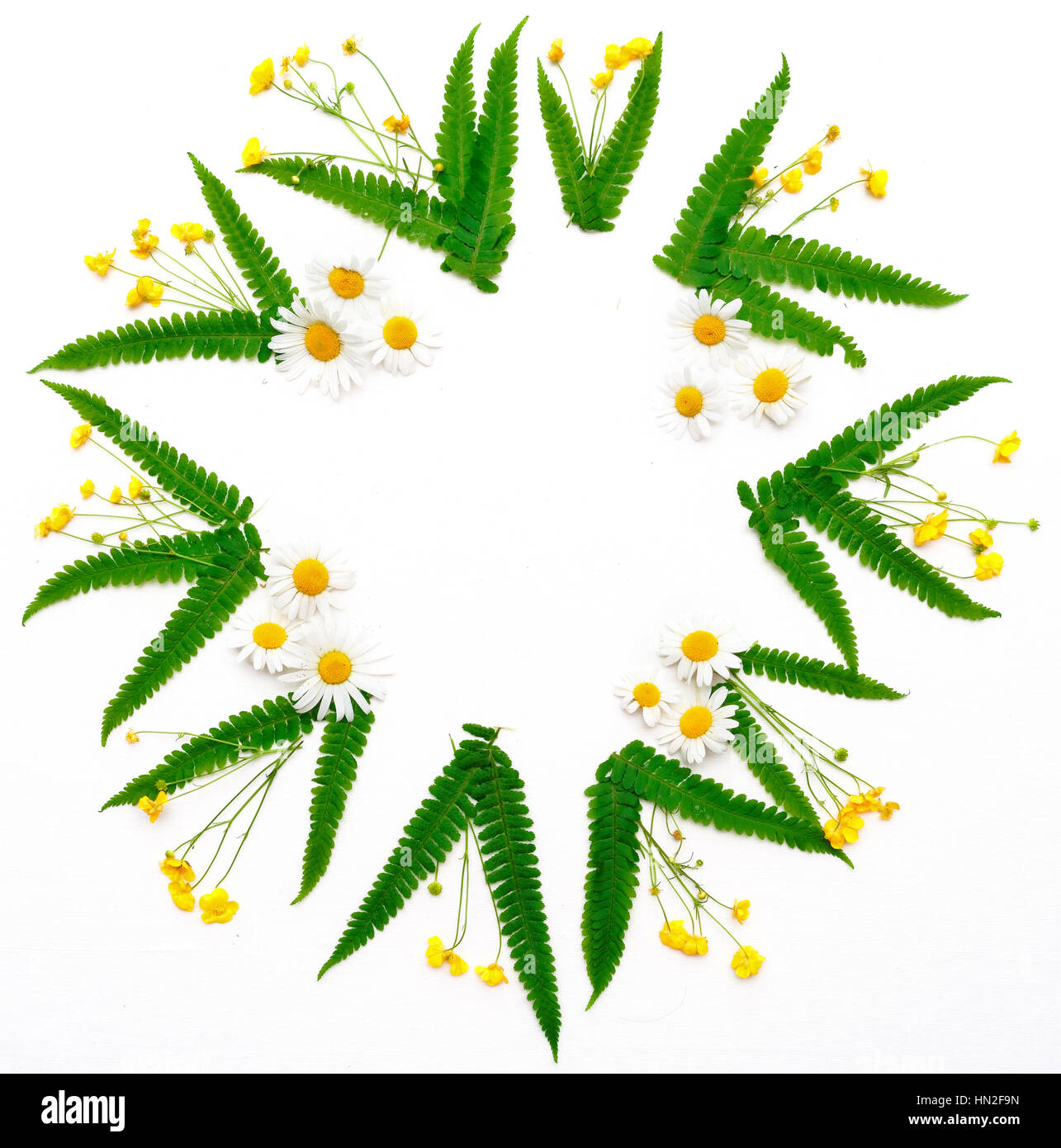 Wreath of ranunculus, chamomile and leaves of green fern on the white background. Flat lay. Stock Photo