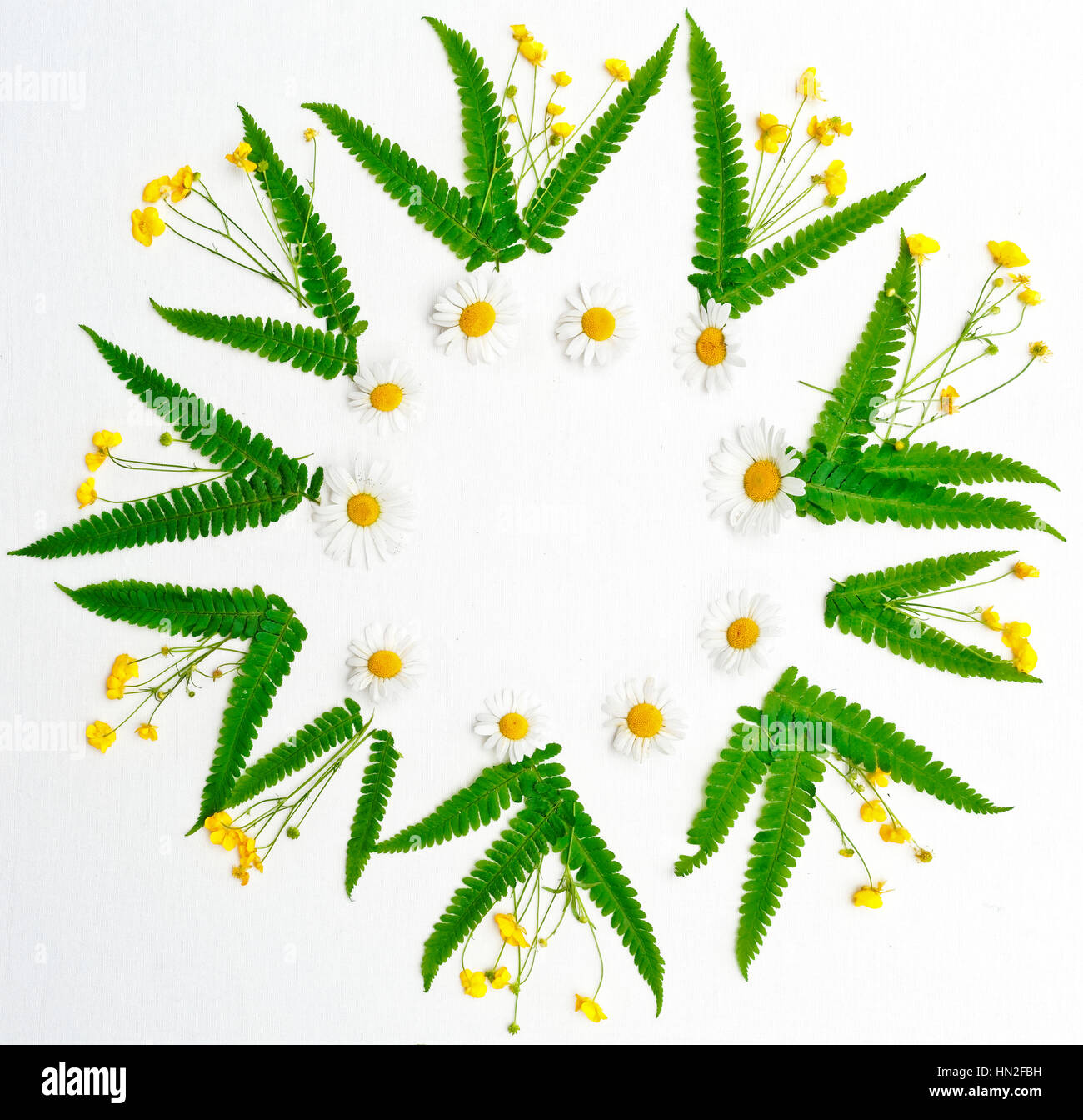 Wreath of chamomile, ranunculus and fern on the white background. Flat lay. Stock Photo