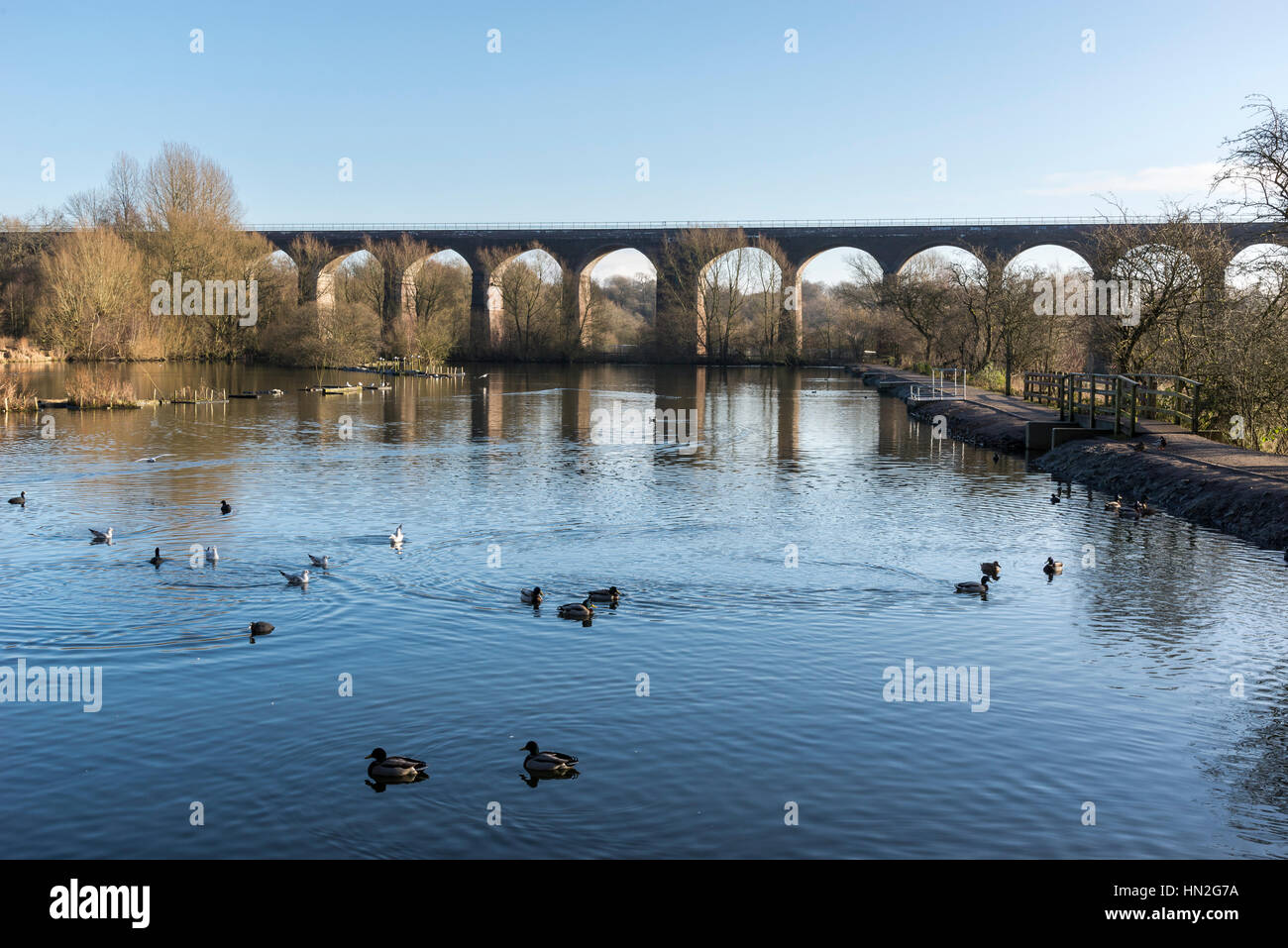Reddish Vale Country Park High Resolution Stock Photography and Images