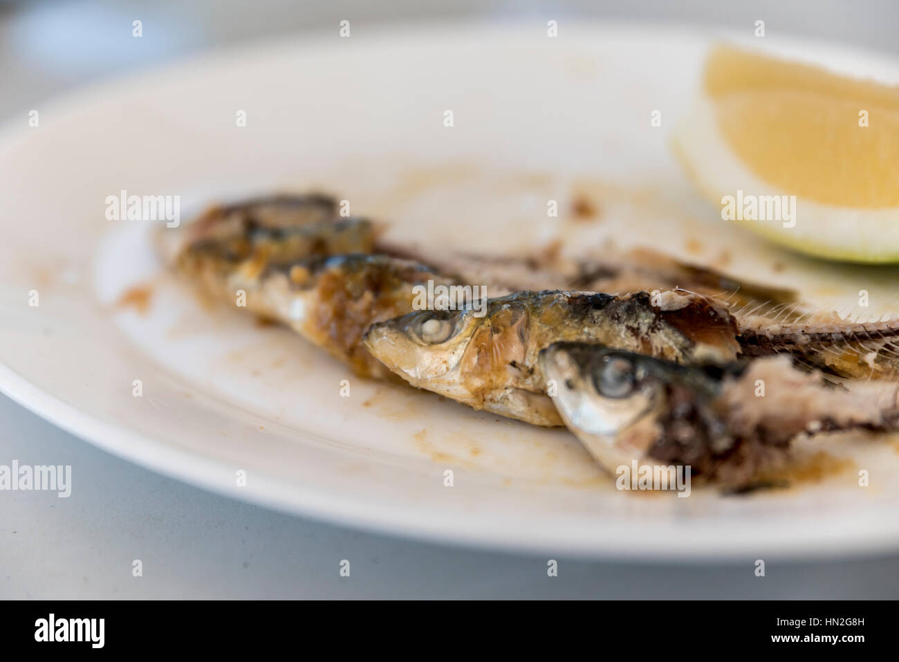 The remains of a plate of sardines, with the bones, head and tail, of