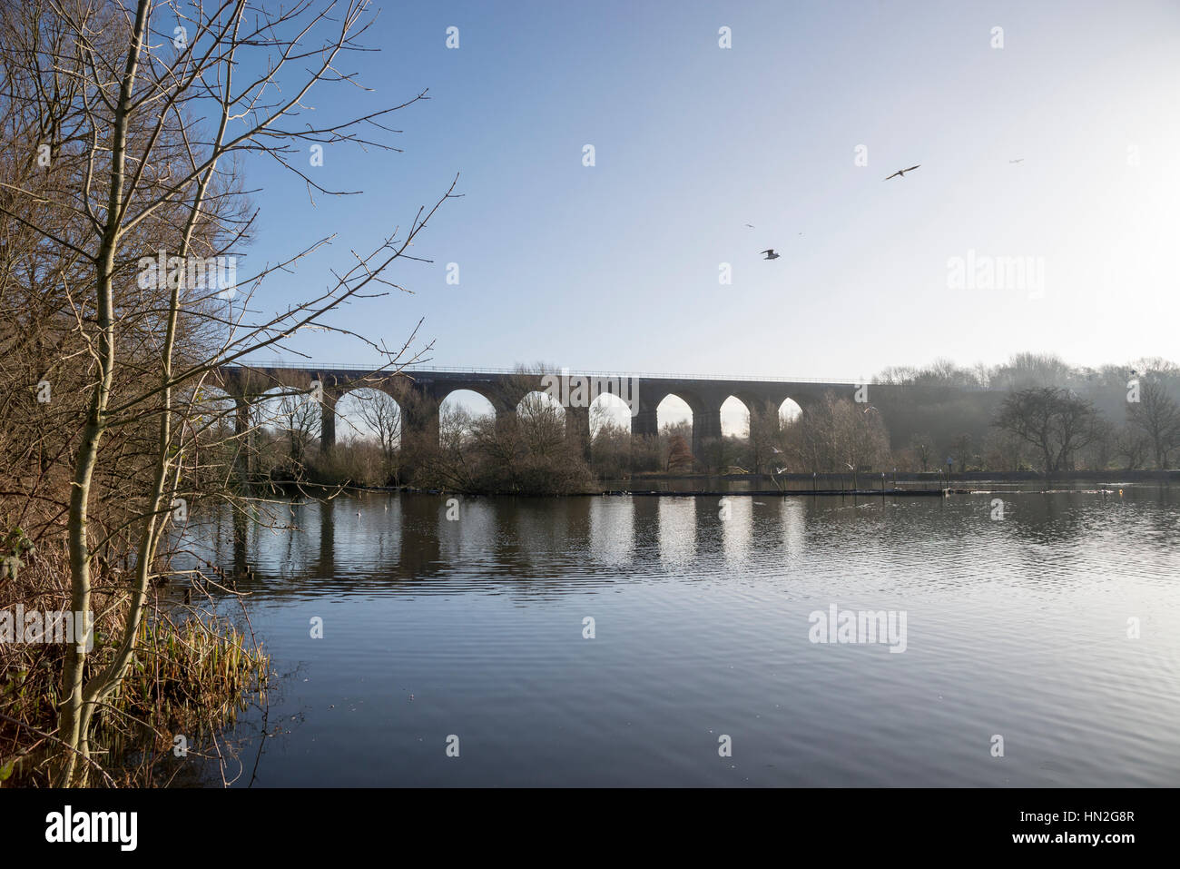 Reddish Vale country park, Greater Manchester, England Stock Photo Alamy