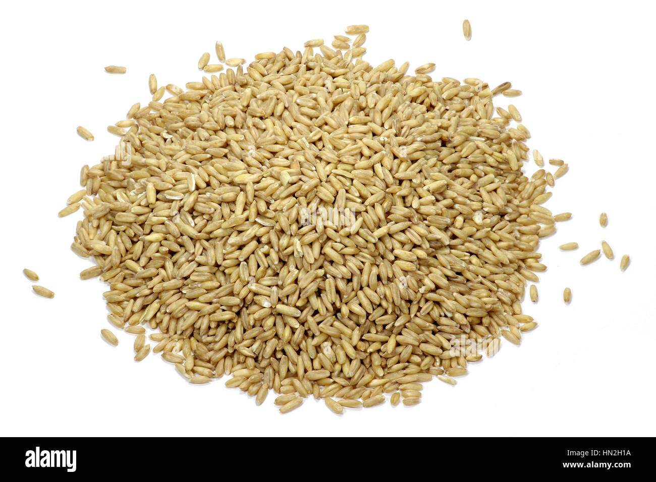 oat grains isolated on white background Stock Photo - Alamy