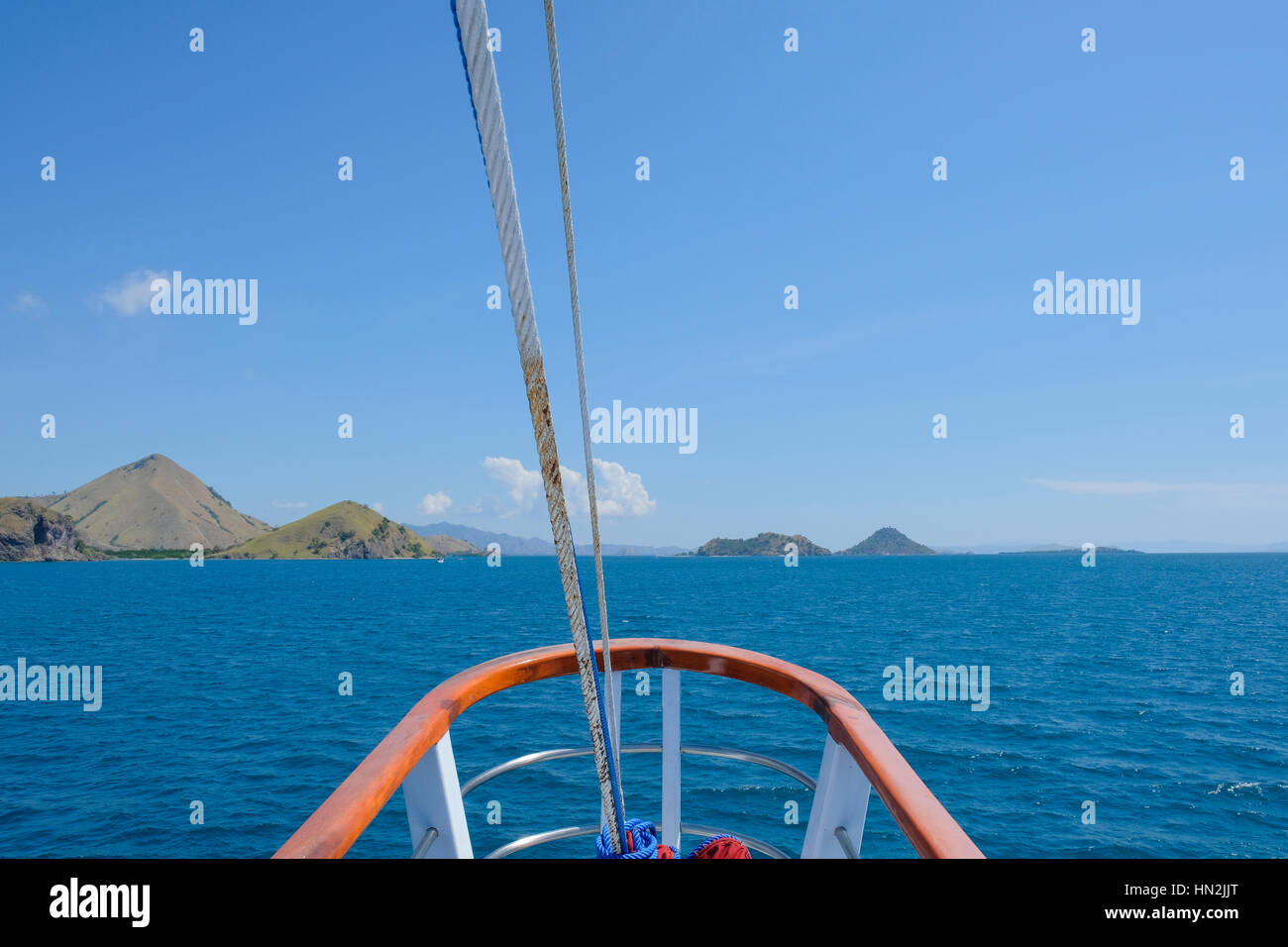 Komodo. The wild dragon in the Rinca island. Rinca island is part of