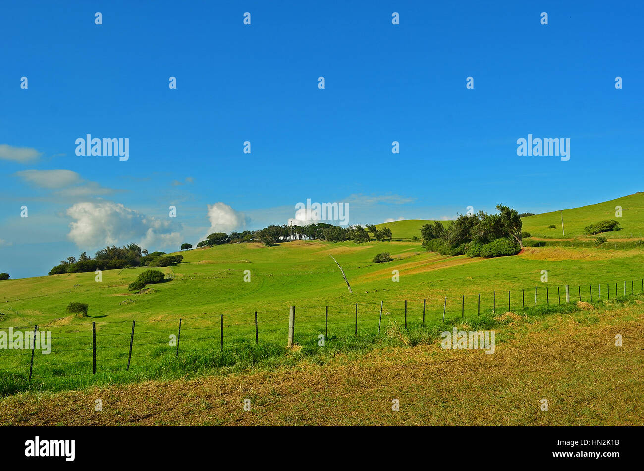 Hawaii, The Big Island Stock Photo Alamy
