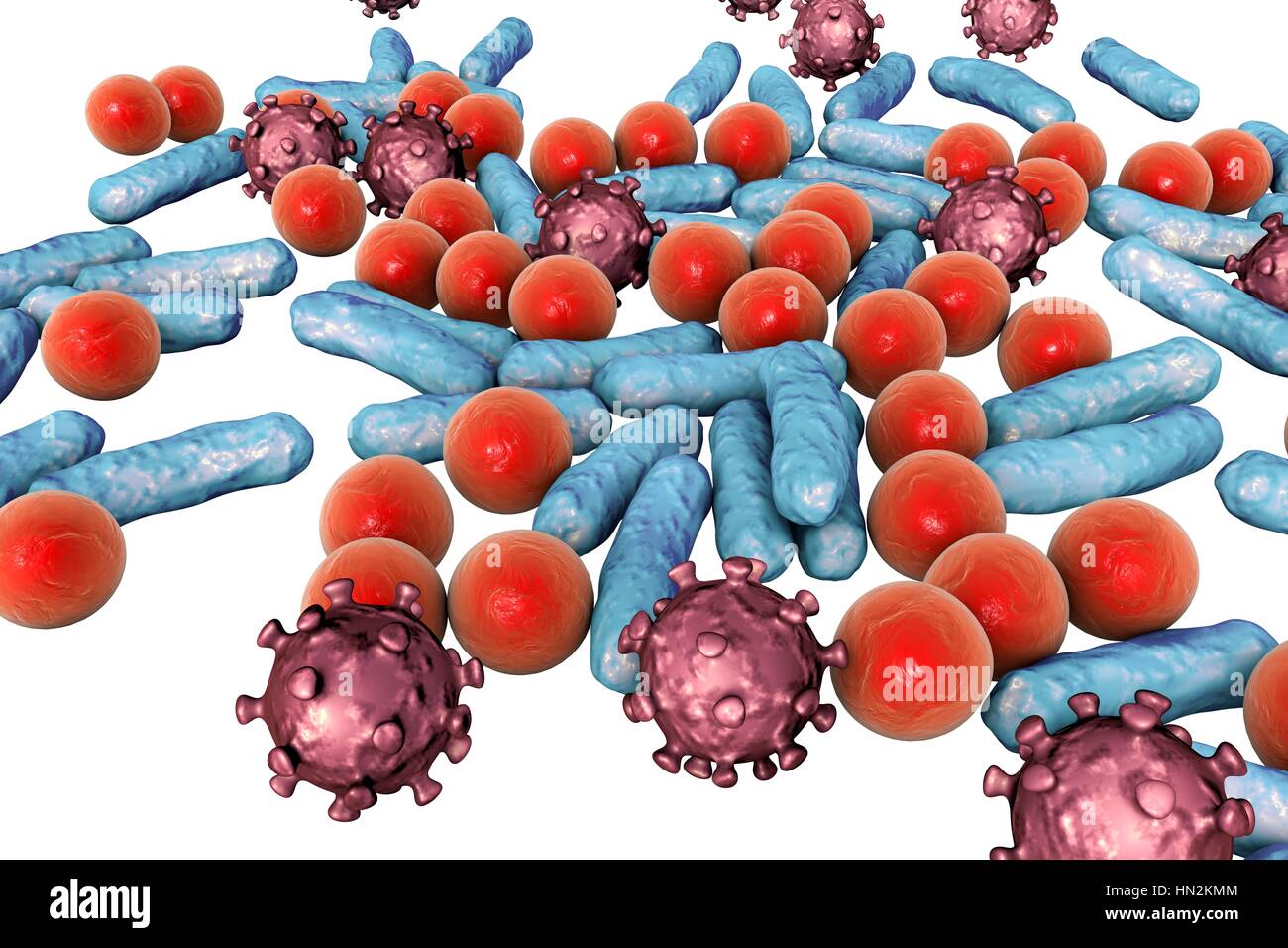 Various microbes of different shapes, computer illustration. Mixture of ...