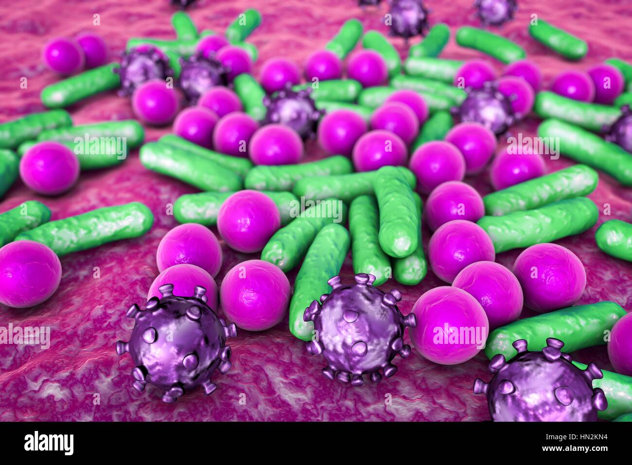 Various microbes of different shapes hi-res stock photography and ...