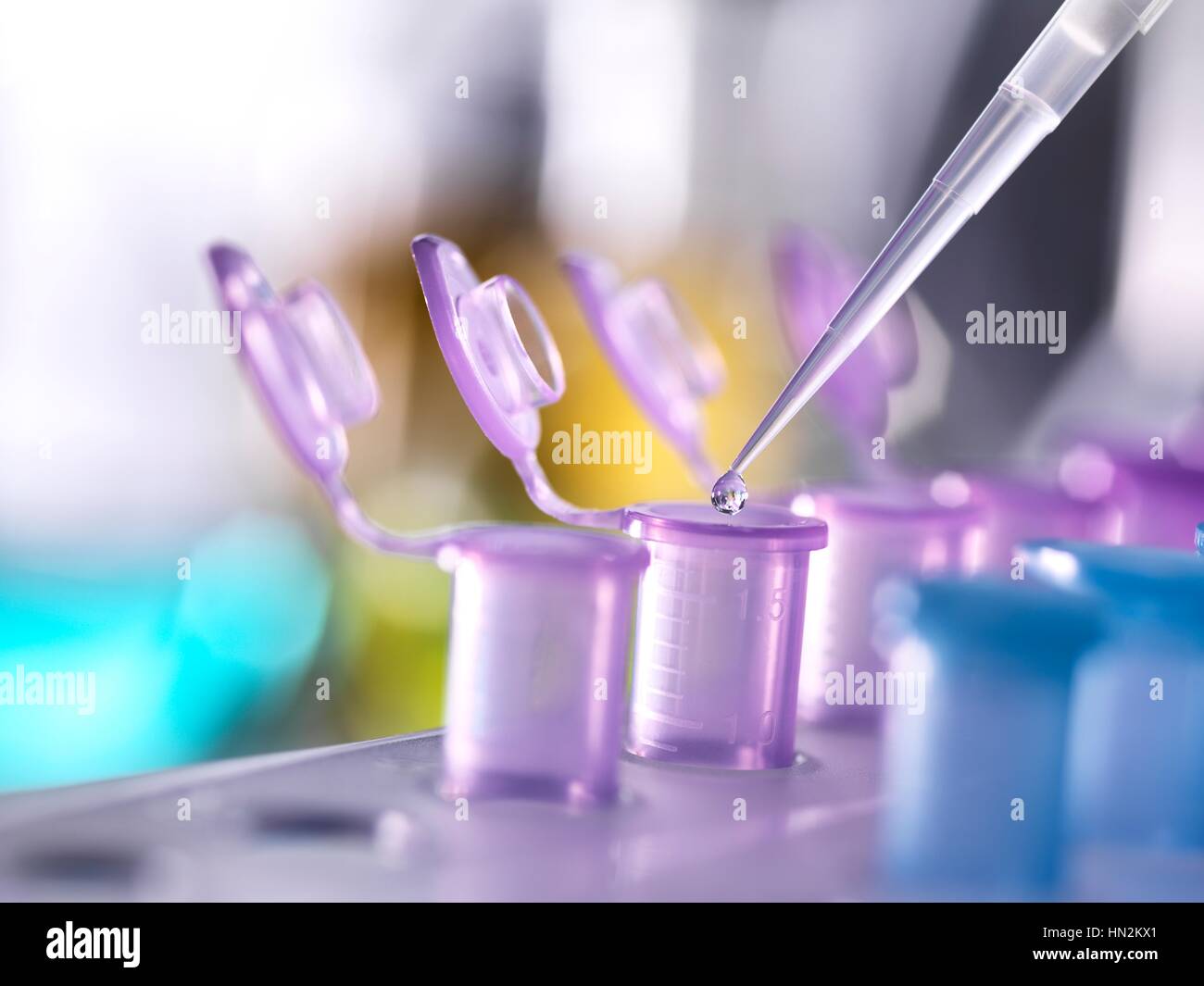Pipetting samples into Eppendorf tubes Stock Photo Alamy