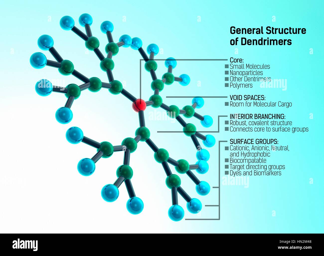 Dendrimers diagram, illustration. Stock Photo