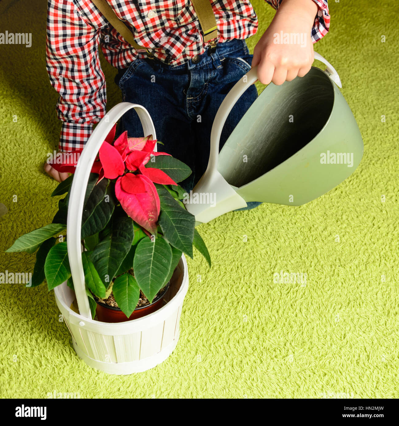 child watering a flower from a watering can sitting on a carpet Stock Photo