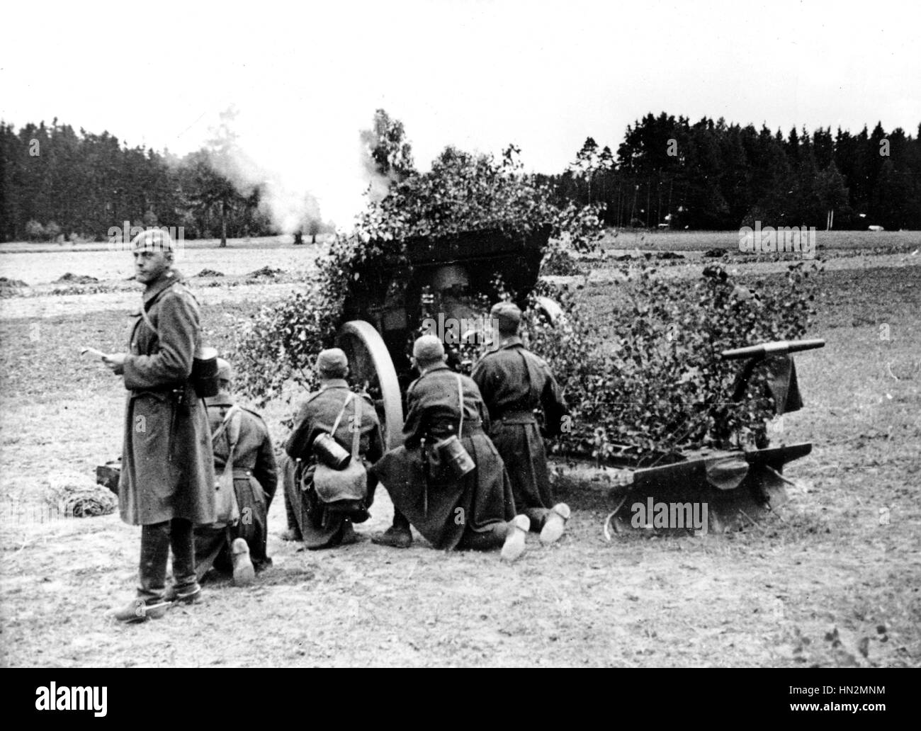 Military operations. Camouflaged cannon October 1934 Czechoslovakia Paris. National Library Stock Photo