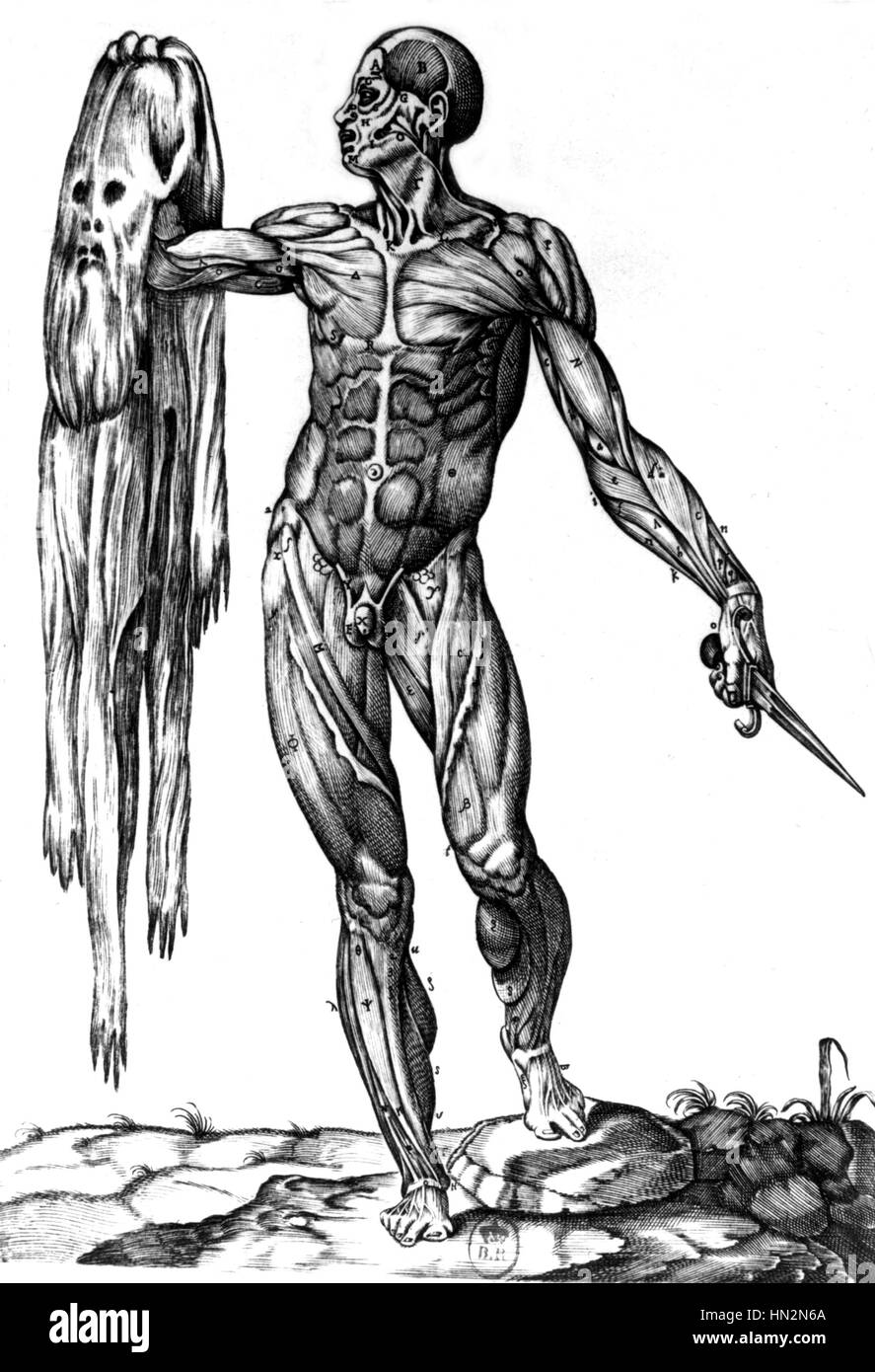 Anatomy by Valverde. An ecorche holding his skin Medicine, 17th century Stock Photo
