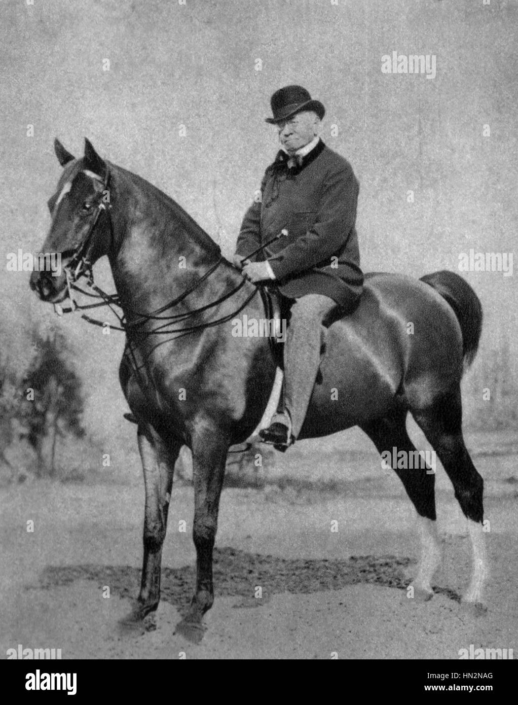 Portrait of Emile de Girardin (1806-1881) on horseback 1866 France Stock Photo