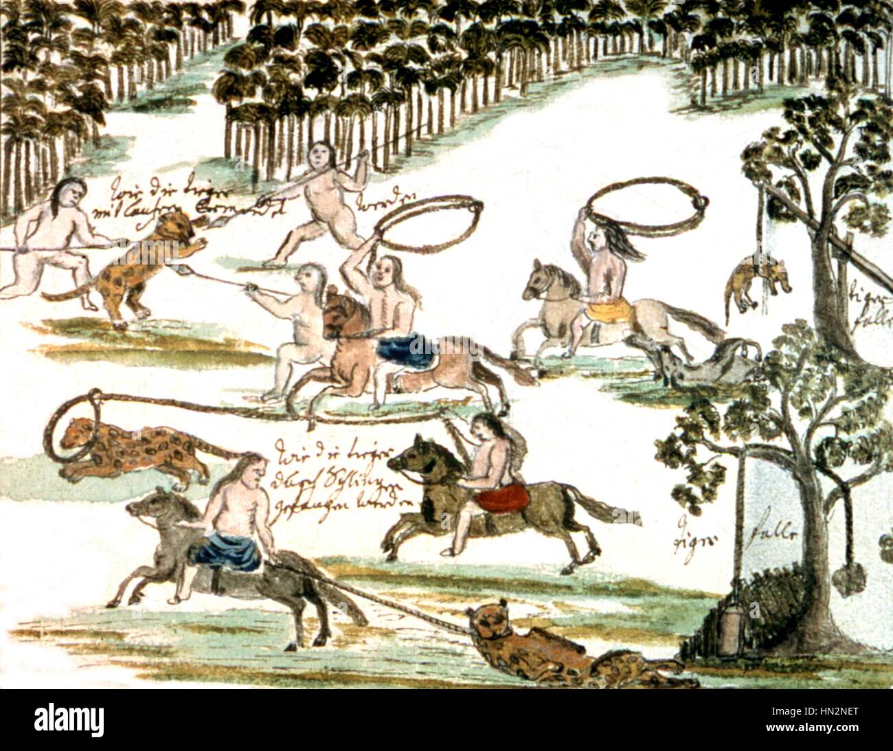 Illustration by Florian Baucke (1749-1767). Zwettler Codex. Life of Guarani Indians seen by a Jesuit father. Tiger hunting. Paraguay 18th century Austria. Stifs Zwettl. library Stock Photo