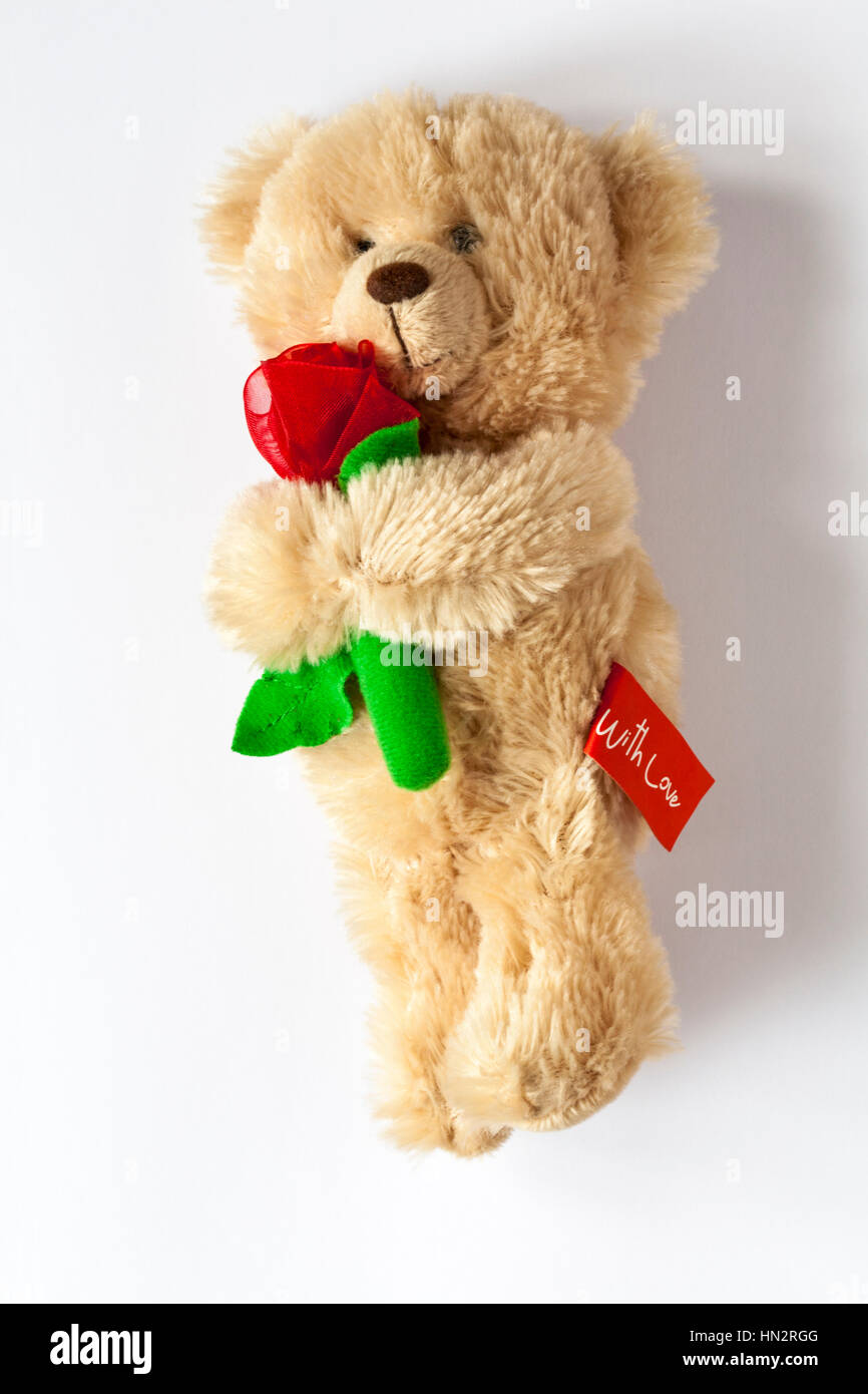 teddy bear holding a rose