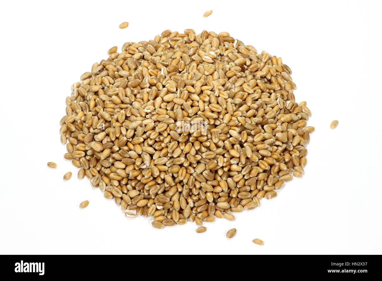 wheat grains isolated on white background Stock Photo
