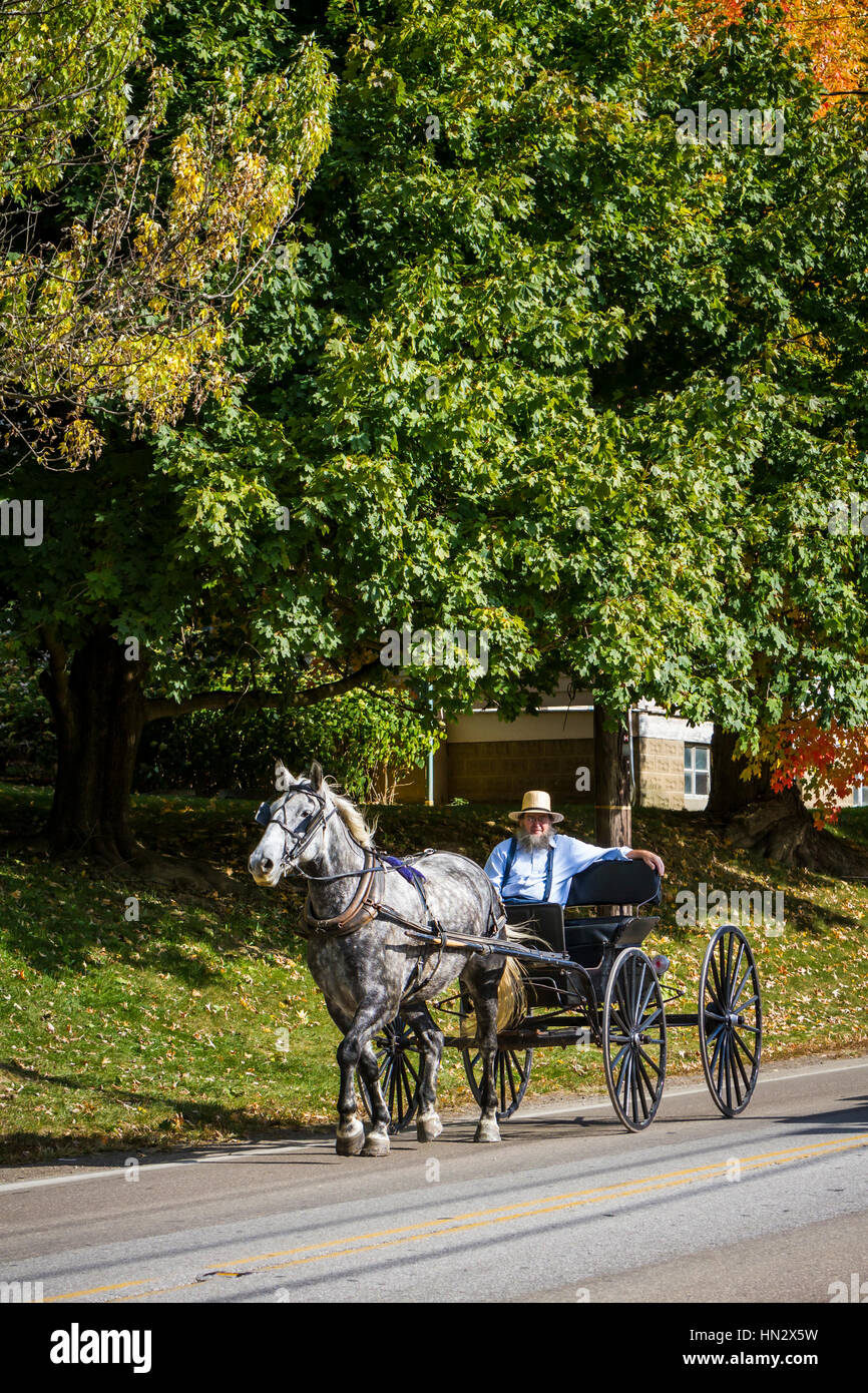 Amish horse and buggy in the countryside near Charm, Ohio, USA Stock