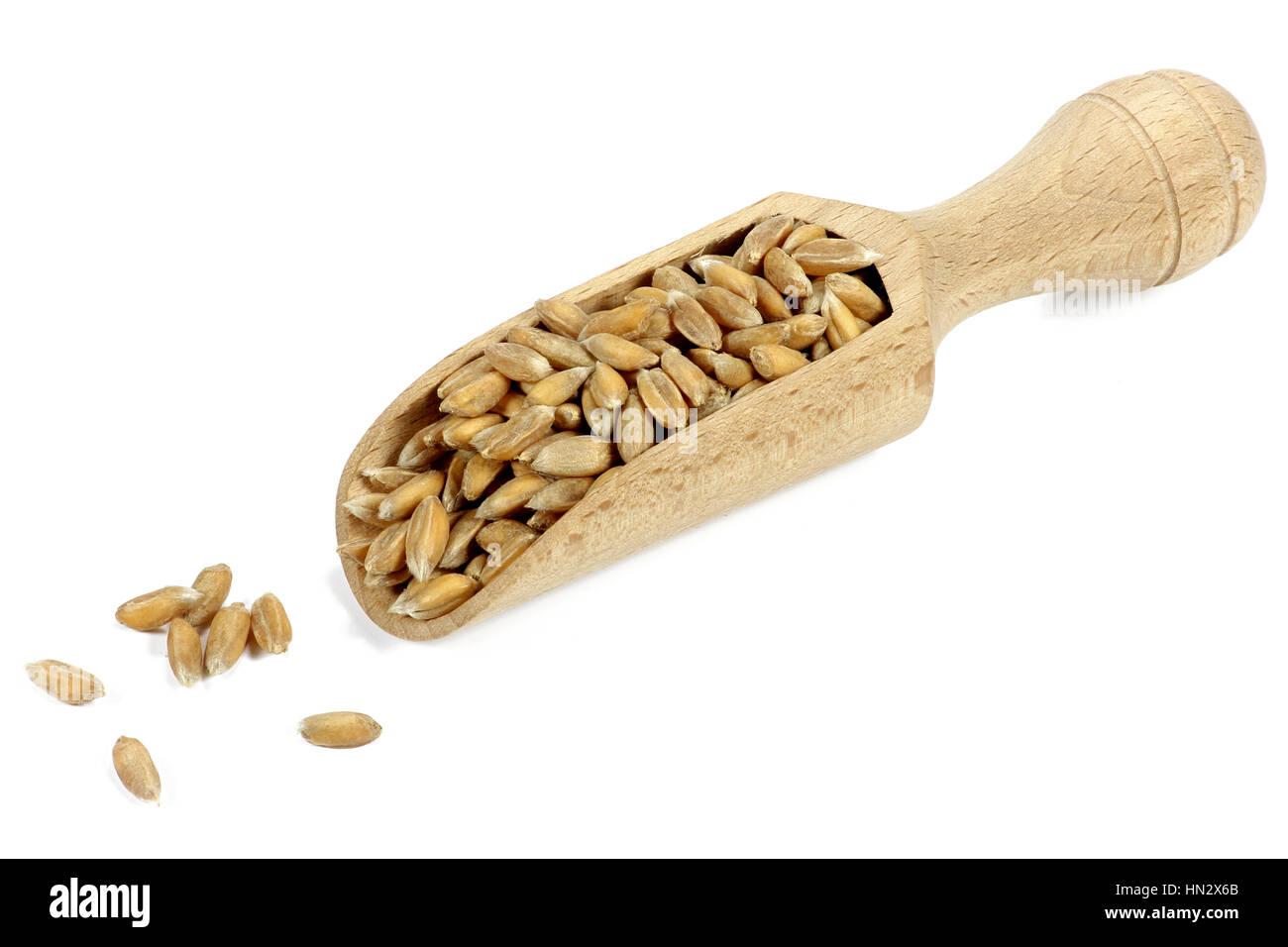 wooden scoop with wheat grains isolated on white background Stock Photo