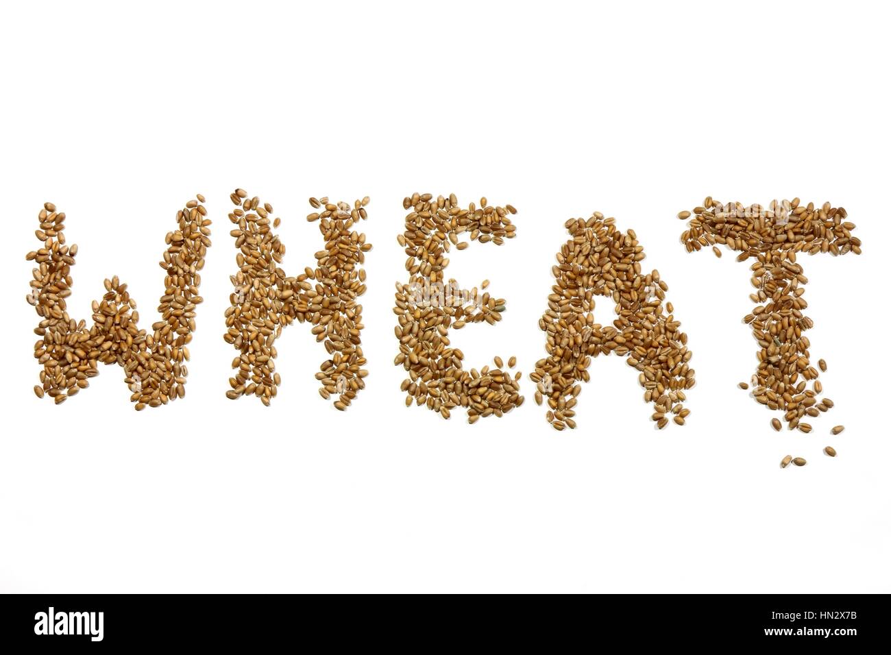 WHEAT written with wheat grains isolated on white background Stock Photo
