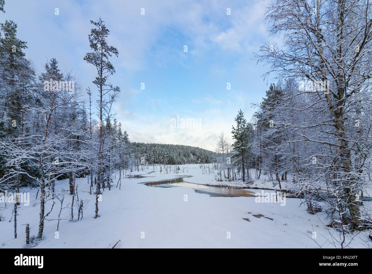 Water frozen conifer forest hi-res stock photography and images - Alamy