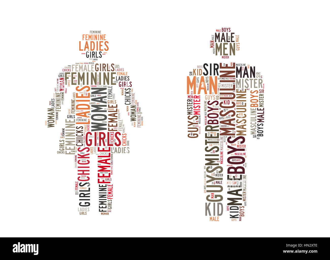 Word cloud featuring concepts referred to Human, male and female Stock Photo