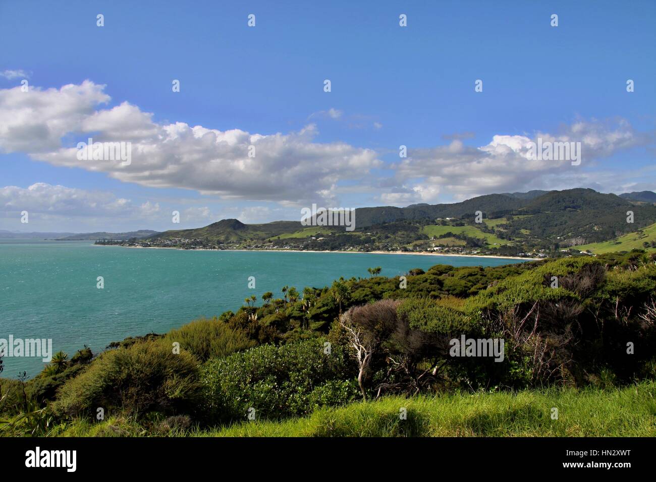 Scenic Outlook from Arai-Te-Uru Recreation Reserve, Omapere, North Island, New Zealand Stock Photo