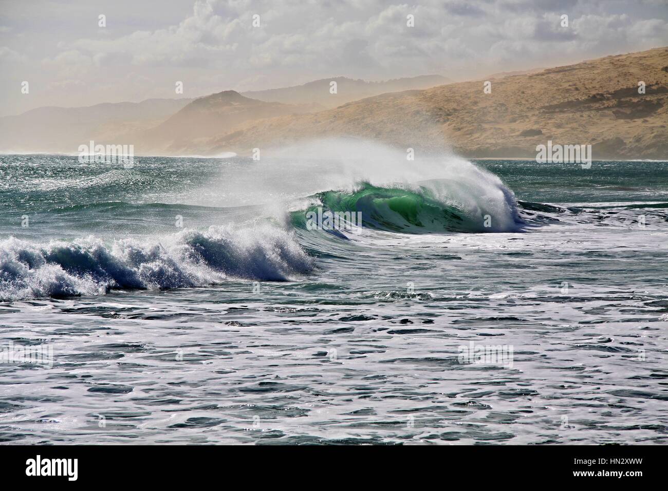 Waves Crashing on The West Coast Near The Town Omapere, North Island, New Zealand Stock Photo