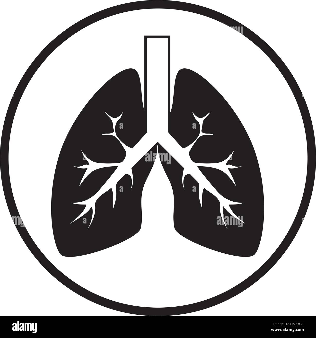 human lungs isolated icon vector illustration design Stock Vector Image ...