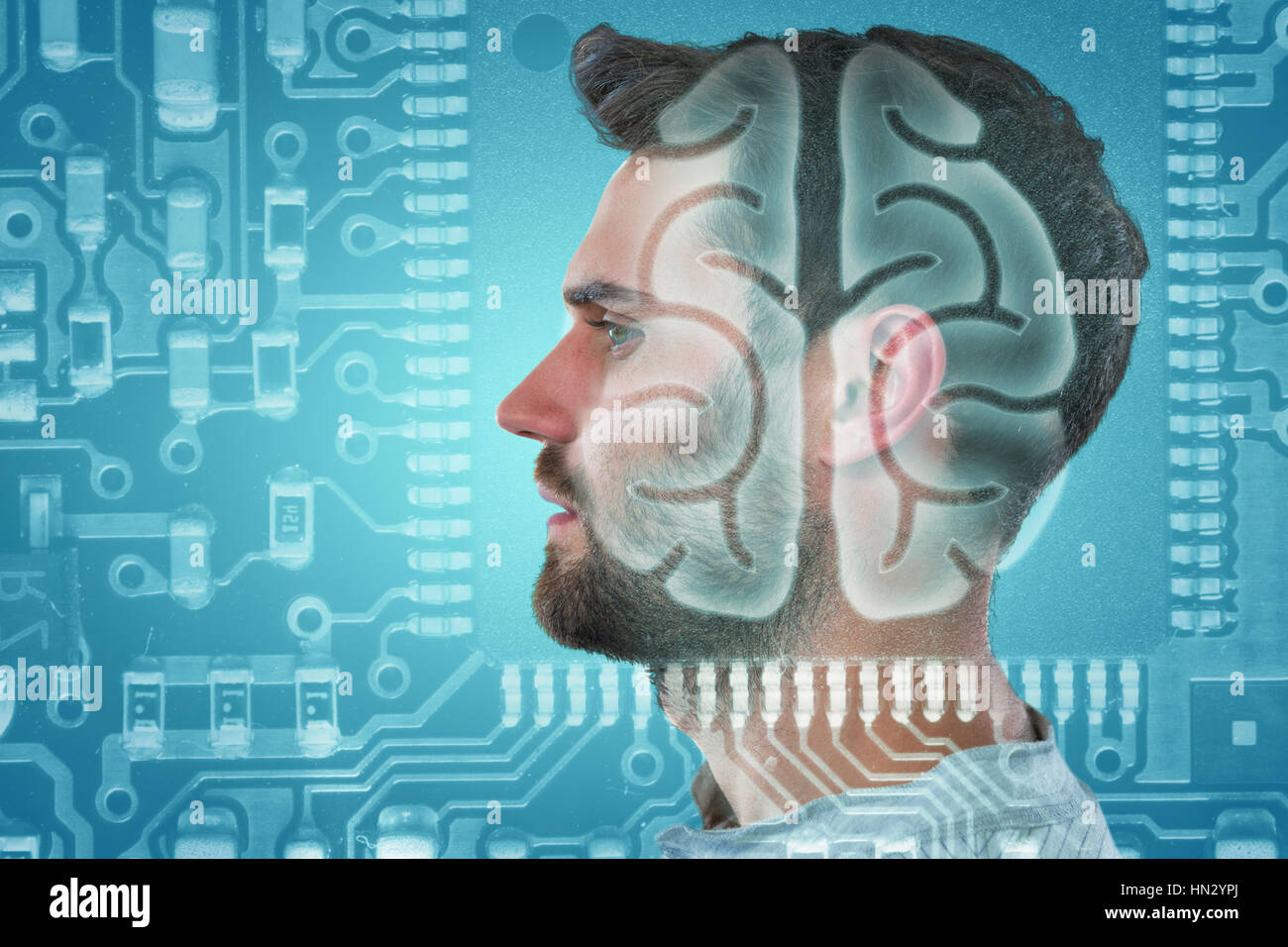 Digital Diagram Of A Human Brain High Resolution Stock Photography and