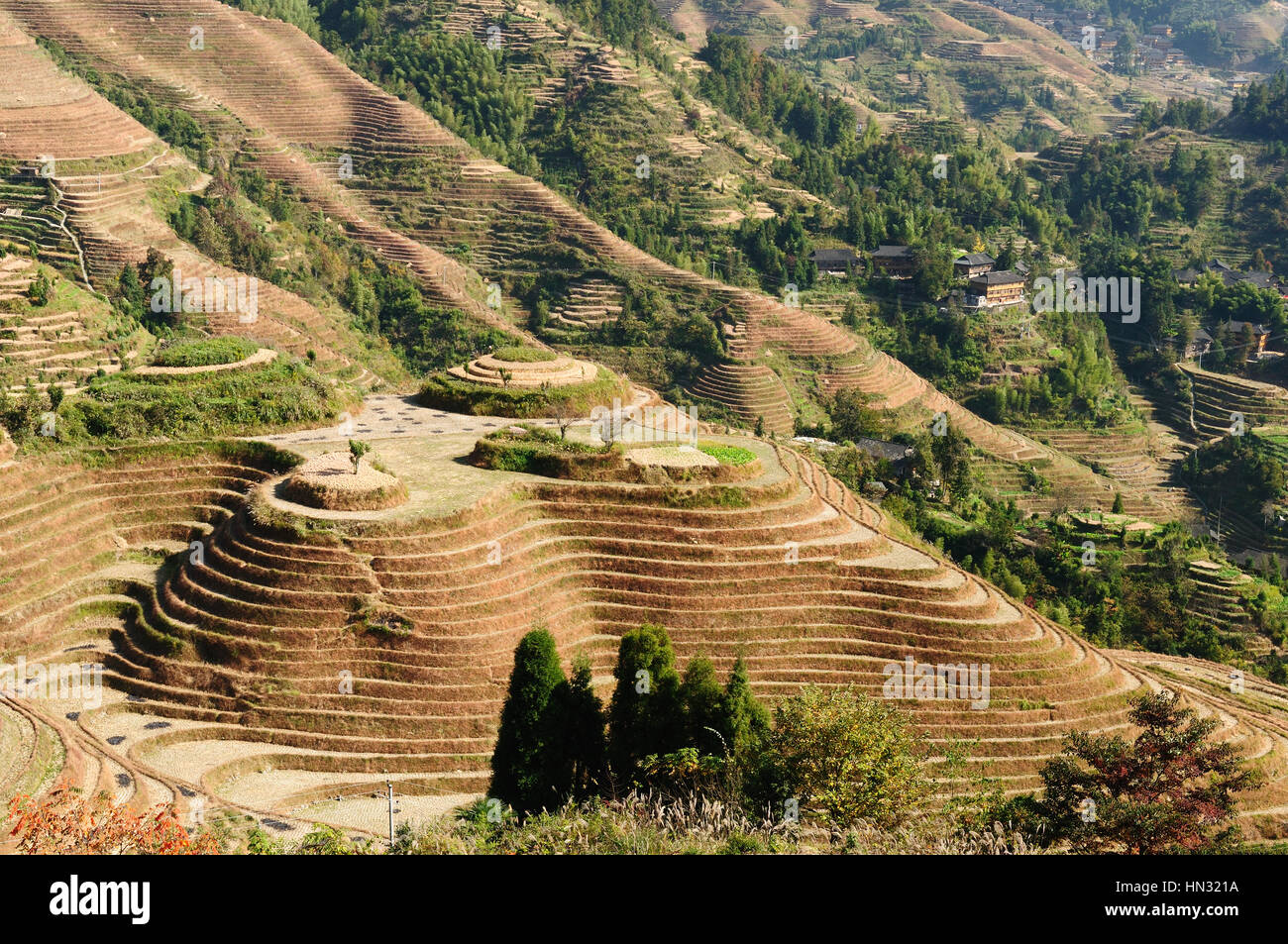 Dragon's Backbone Rice Terraces - ancient beautiful rice terraces of ...