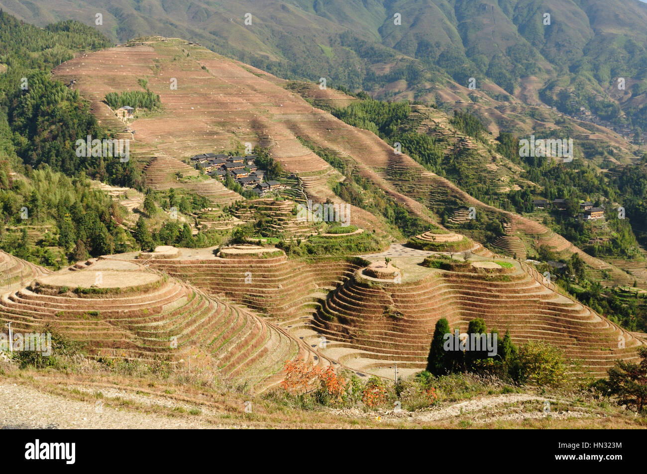 Dragon's Backbone Rice Terraces - ancient beautiful rice terraces of Longsheng near Guilin, Guanxi province, China Stock Photo