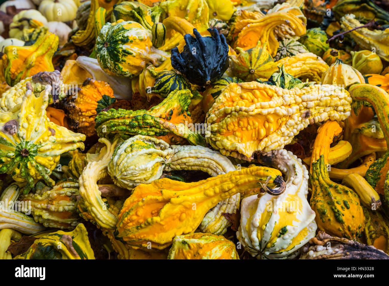 The Troyer's Country Market store in Berlin, Ohio, USA. Stock Photo
