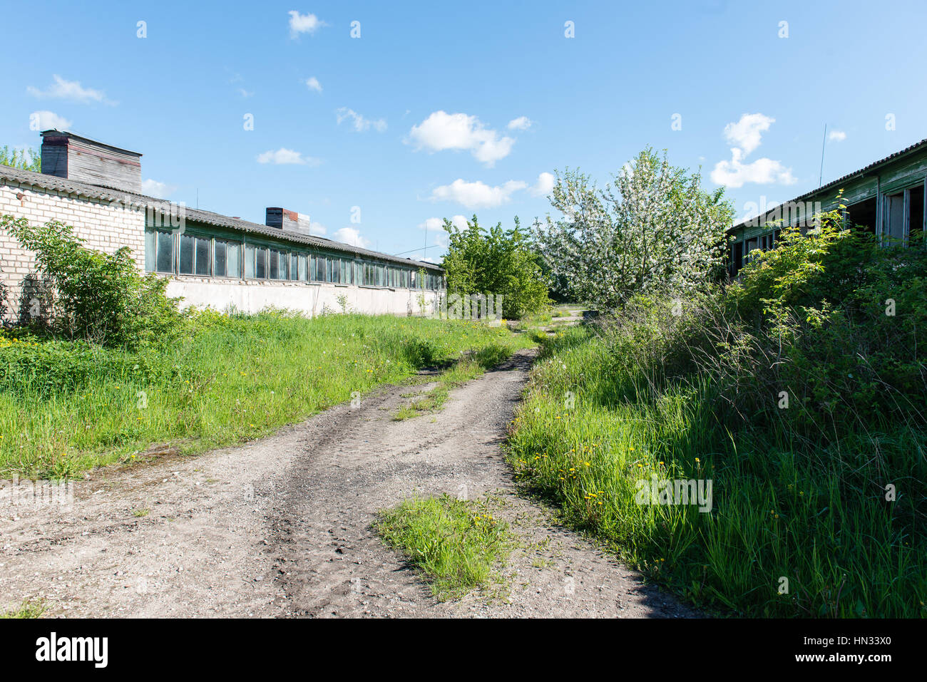 empty road in the forest with shadows and green foliage Stock Photo - Alamy