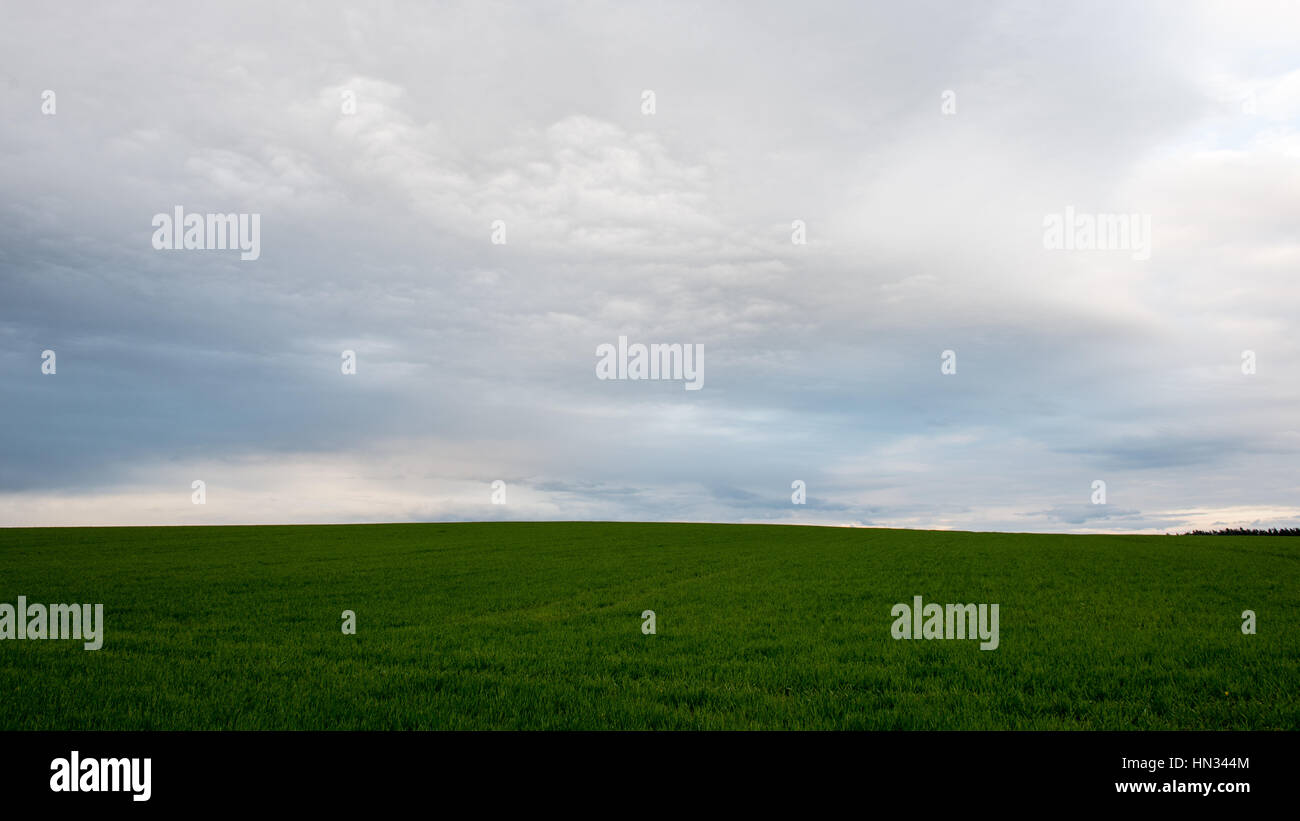 Dark storm clouds over meadow with green grass and mountains in ...