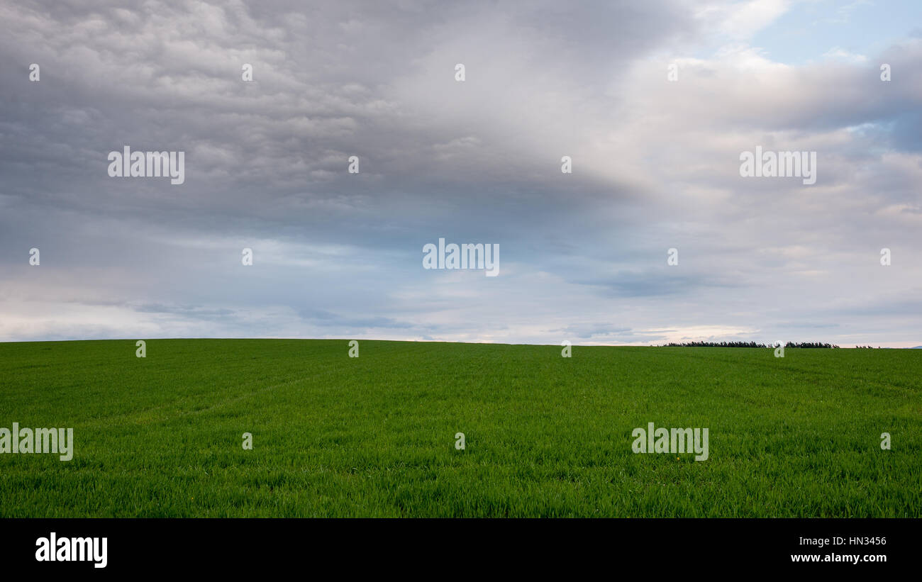 Dark storm clouds over meadow with green grass and mountains in ...