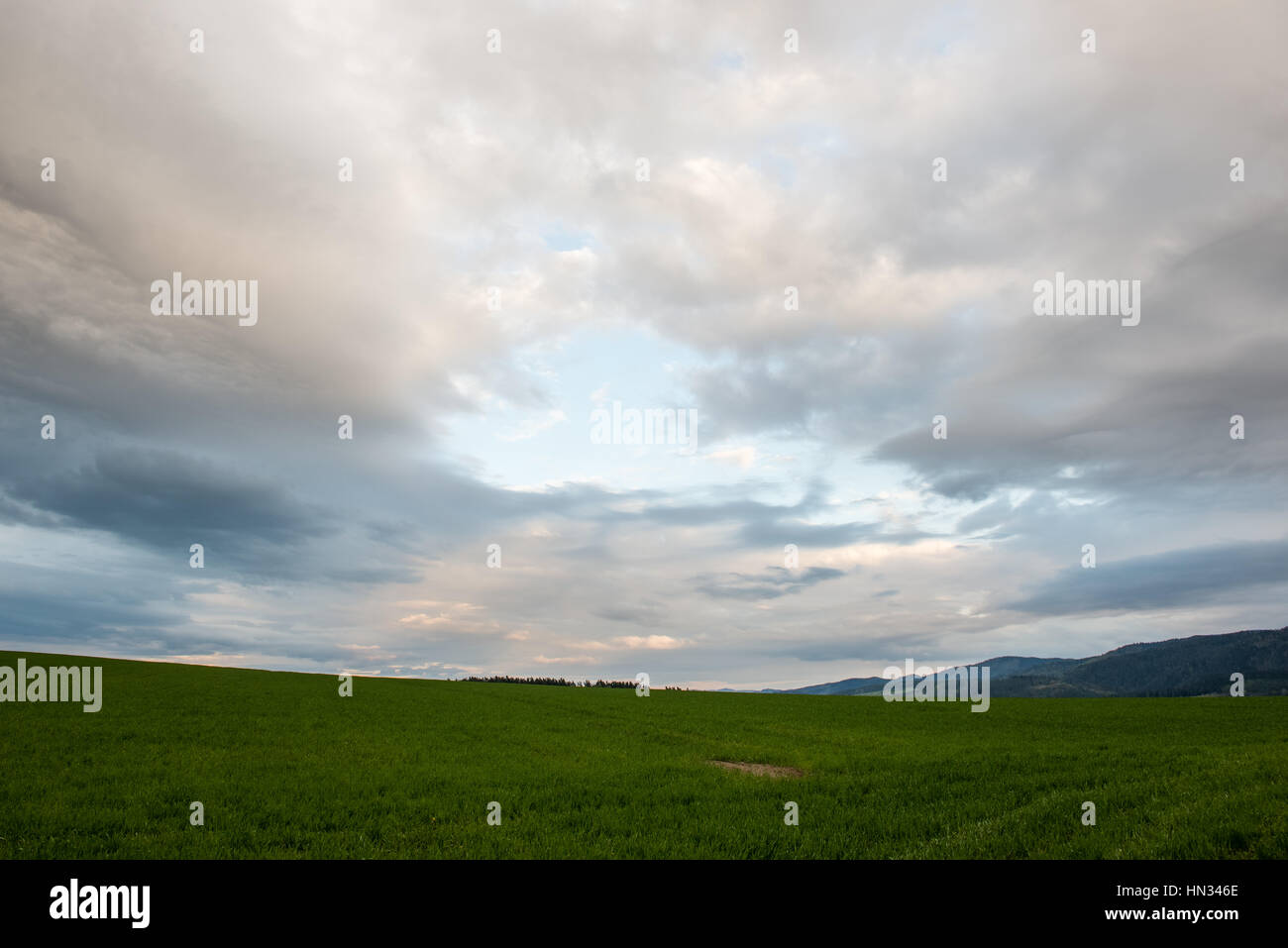 Dark storm clouds over meadow with green grass and mountains in ...
