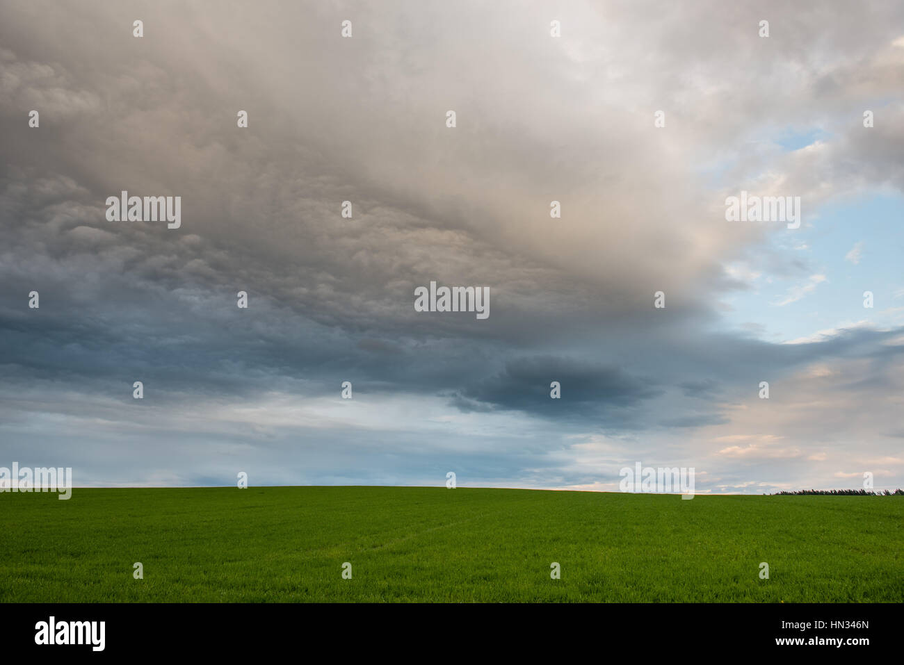 Dark storm clouds over meadow with green grass and mountains in ...
