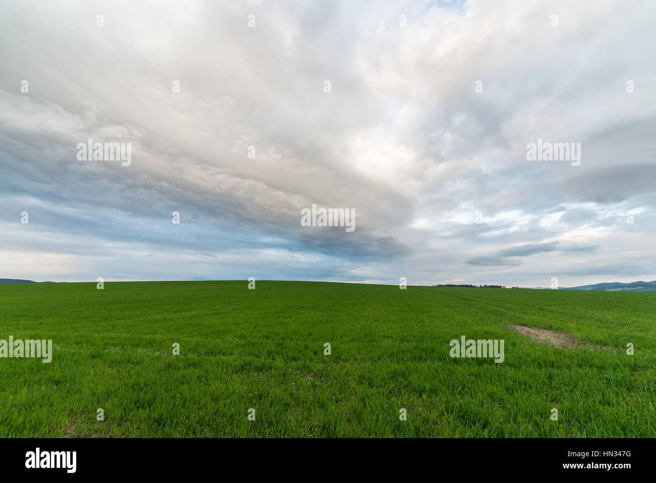 Dark storm clouds over meadow with green grass and mountains in ...