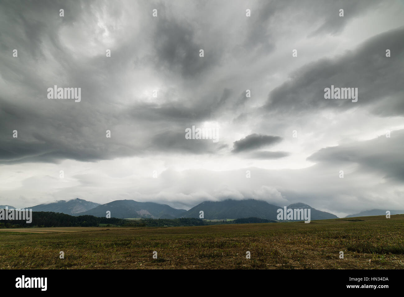 Dark storm clouds over meadow with green grass and mountains in ...