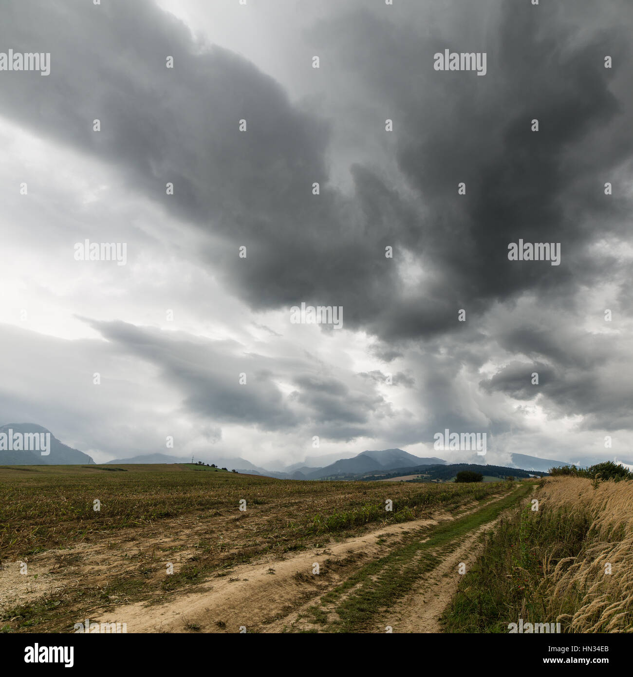 Dark storm clouds over meadow with green grass and mountains in ...