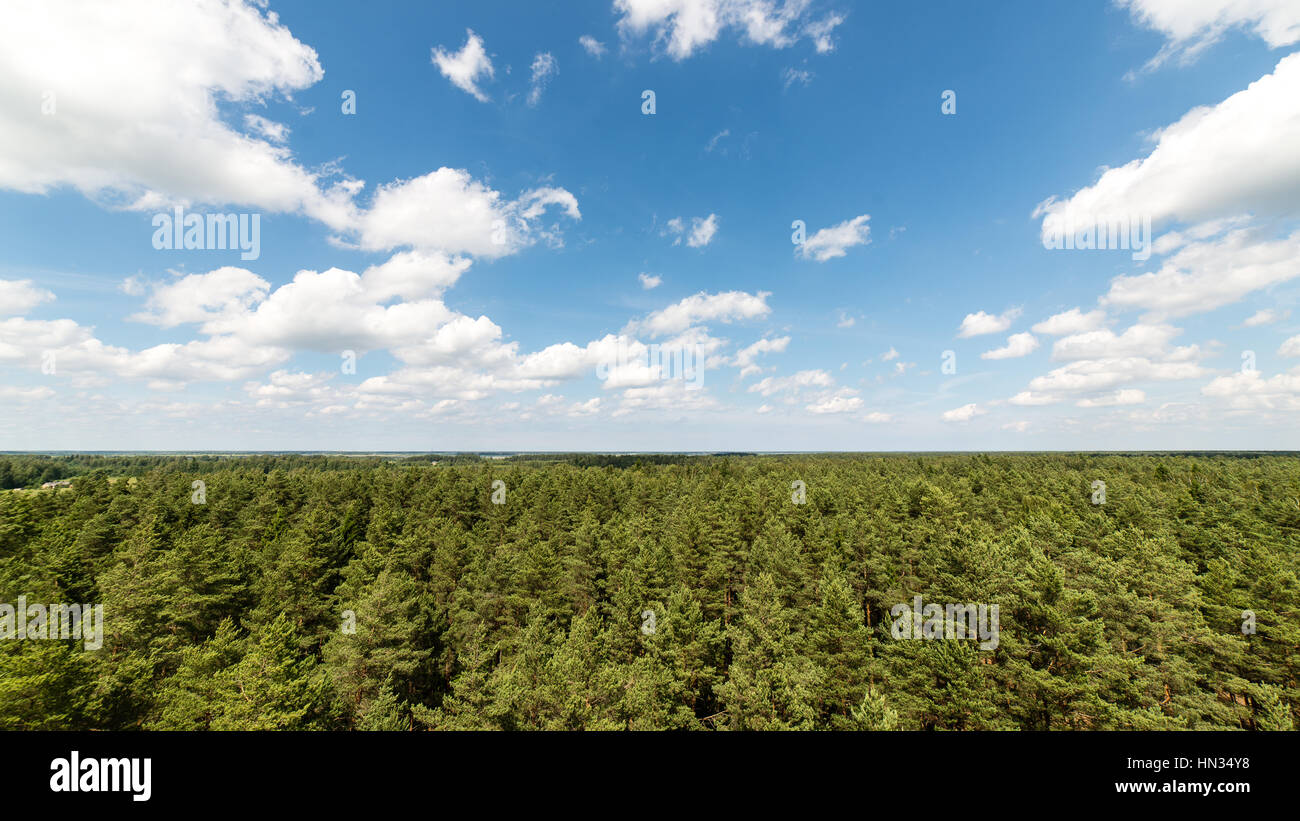 Dark storm clouds over forest and mountains in background Stock Photo ...