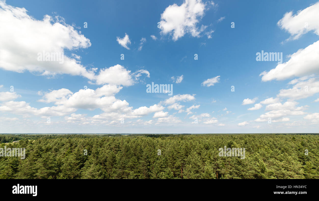 Dark storm clouds over forest and mountains in background Stock Photo ...