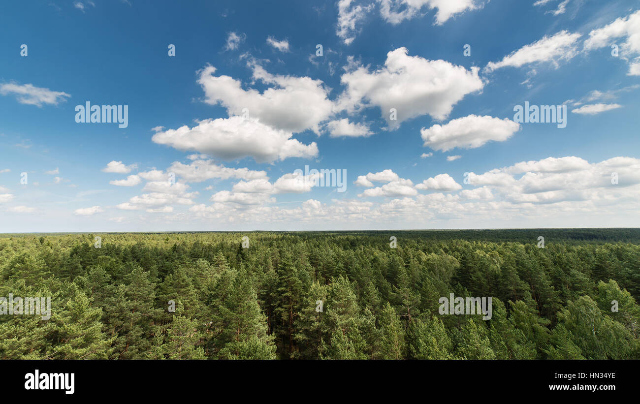 Dark storm clouds over forest and mountains in background Stock Photo ...