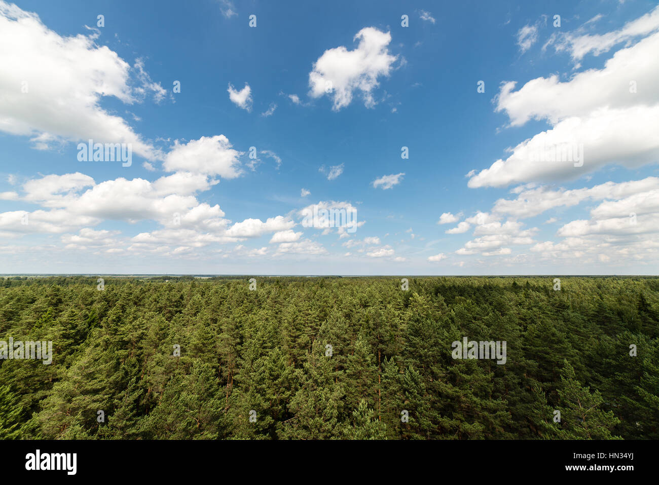 Dark storm clouds over forest and mountains in background Stock Photo ...