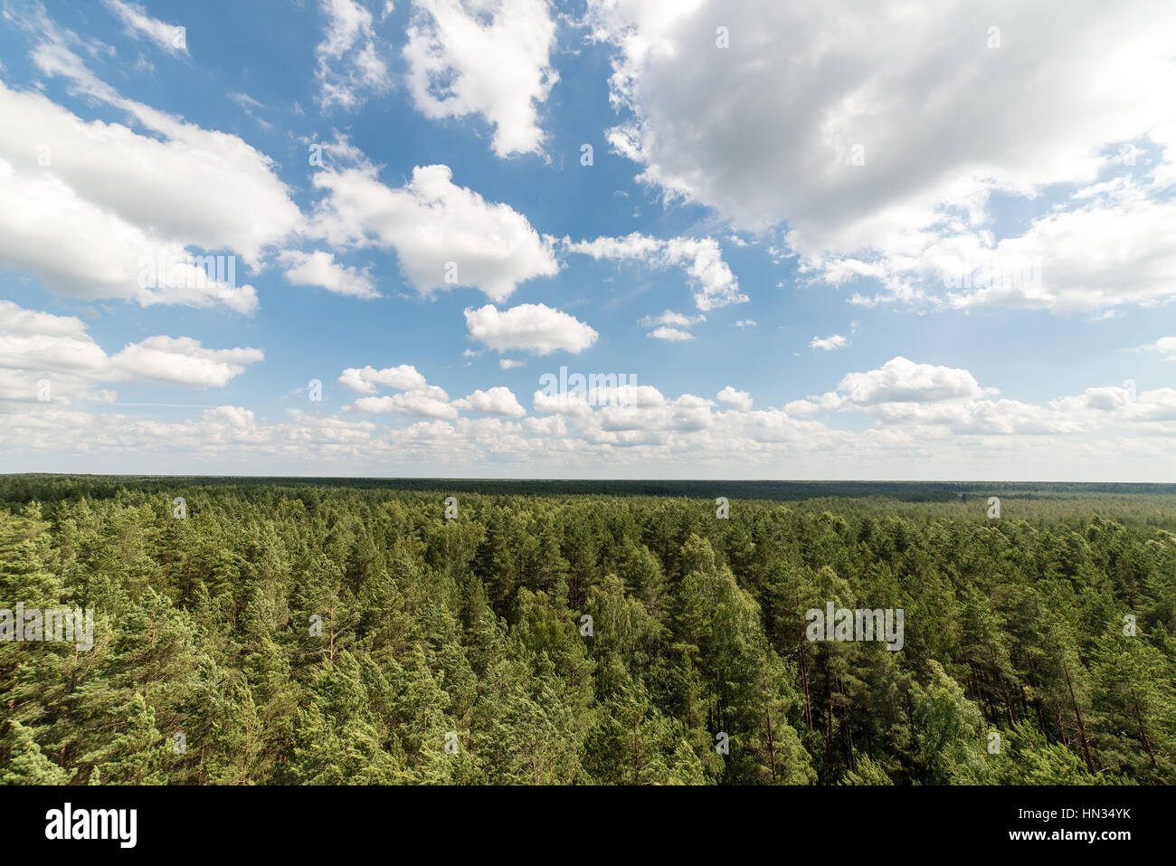Dark storm clouds over forest and mountains in background Stock Photo ...