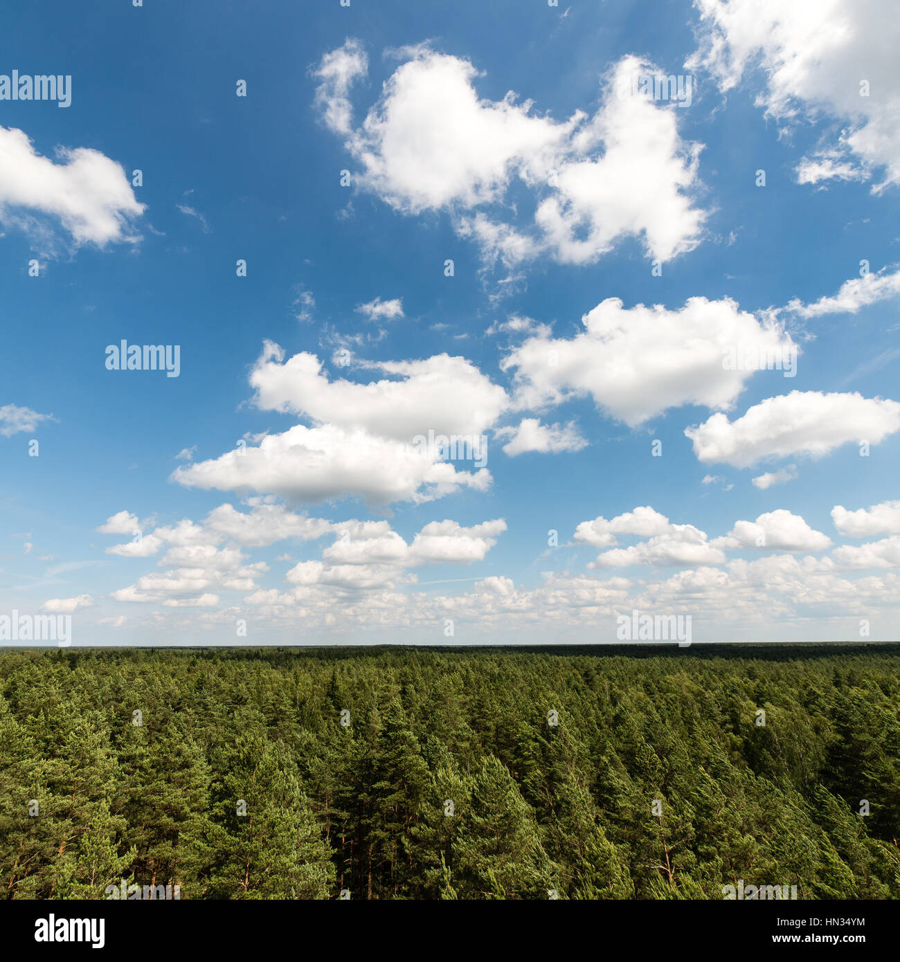Dark storm clouds over forest and mountains in background Stock Photo ...