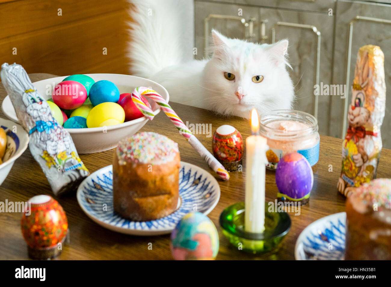 White cat hunting for Easter Eggs, chocolate bunny and cake on a table