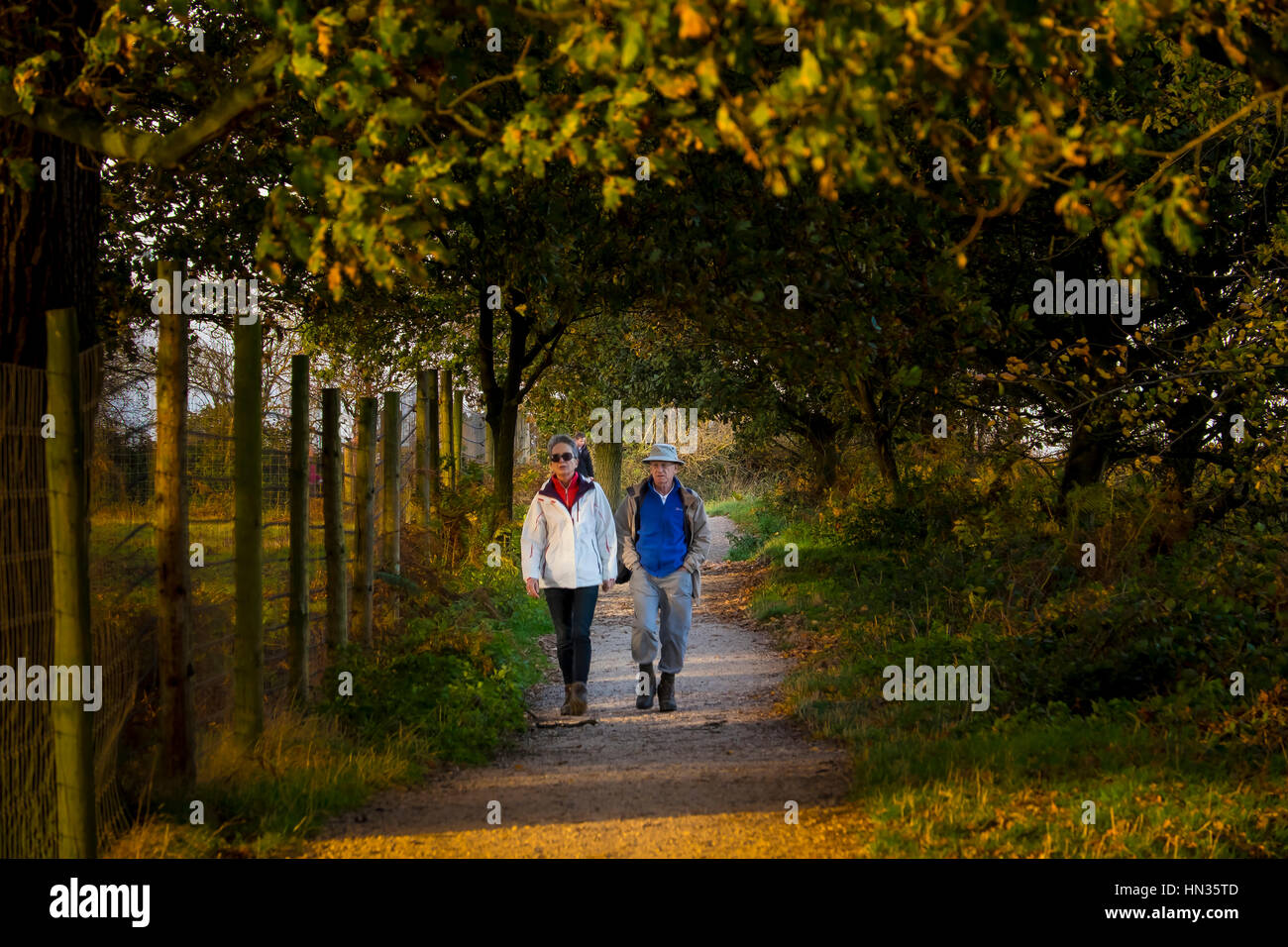 A couple walking a woodland path in autumn Stock Photo - Alamy