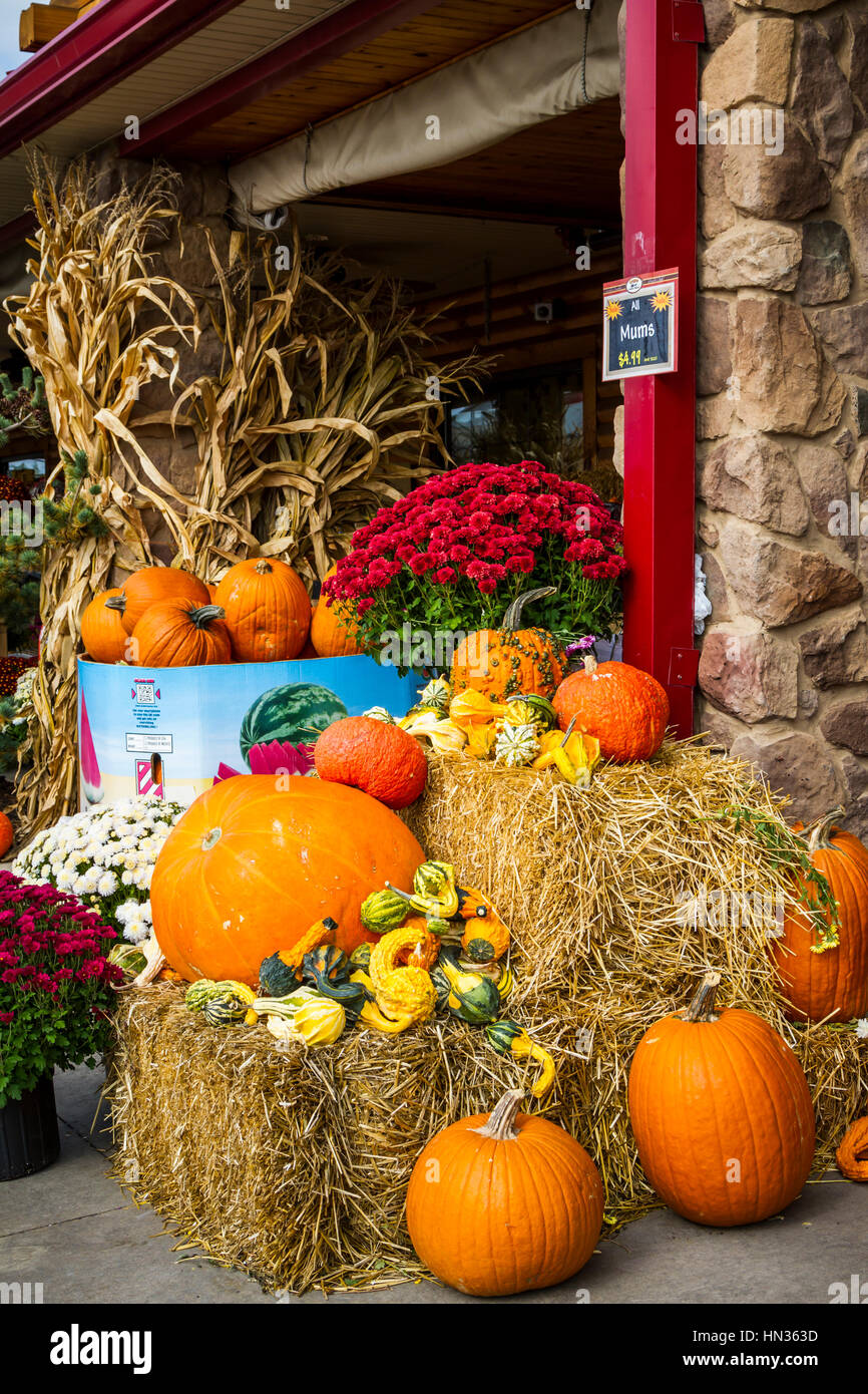 The Troyer's Country Market store in Berlin, Ohio, USA. Stock Photo