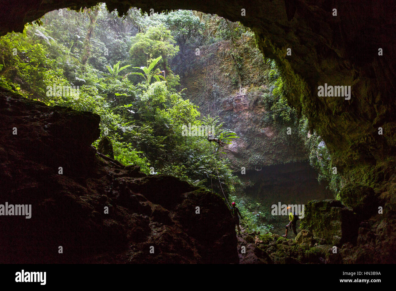 A Woman Rappels Into A Deep Cave In A Lush Forest Stock Photo - Alamy