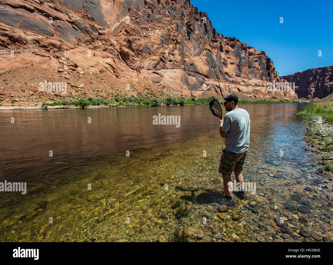 Man Reels In Fish On The Colorado River In The Grand Canyon Stock Photo -  Alamy